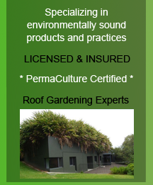 Green Roofing Specialists